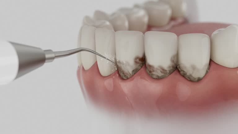 Reliable Dental contractor in Grasonville, MD by Dentist Open Now